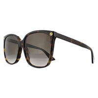 Gucci Sunglasses GG0022S 003 Havana Grey Gradient