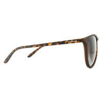Polaroid Sunglasses PLD 6003/N/S V08 LA Havana Brown Gradient Polarized