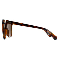 Polaroid Sunglasses PLD 4155/S/X 086 SP Havana Bronze Polarized