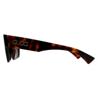 Gucci Sunglasses GG1835S 002 Havana Brown