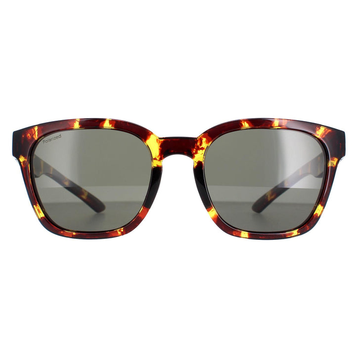 Smith Sunglasses Founder Slim MY3 IN Tortoise Green Polarized