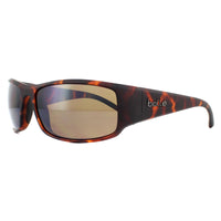 Bolle Sunglasses King 12588 Matte Tortoise Brown Polarized