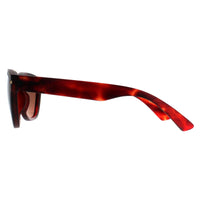 Serengeti Sunglasses Pancho SS601002 Matte Red Tortoise Mineral Drivers Polarized