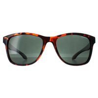 O'Neill Sunglasses Offshore 102P Tortoiseshell Green Polarized