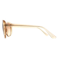 Calvin Klein Sunglasses CK19560S 270 Crystal Beige Brown Gradient