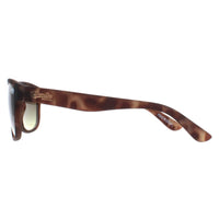 Superdry Sunglasses Rockstar 170A Brown Brown