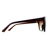 Calvin Klein Sunglasses CK19536S 210 Crystal Brown Brown