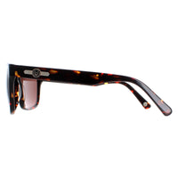 Duck and Cover Sunglasses DCS026 C2 Havana Brown