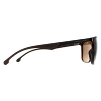 Carrera Sunglasses 8032/S 086 SP Dark Havana Bronze Polarized