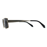 Polaroid Sunglasses PLD 6255/S/X 2F7 M9 Gold Grey Polarized