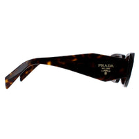 Prada Sunglasses PR17WS 2AU8C1 Tortoise Brown