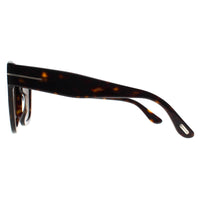 Tom Ford Sunglasses Beatrix FT0613 52H Dark Havana Brown Polarized