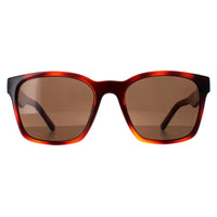 Salvatore Ferragamo Sunglasses SF959S 214 Tortoise Brown