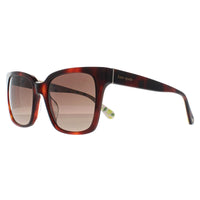 Kate Spade Sunglasses Harlow/G/S 086 HA Havana Brown Gradient