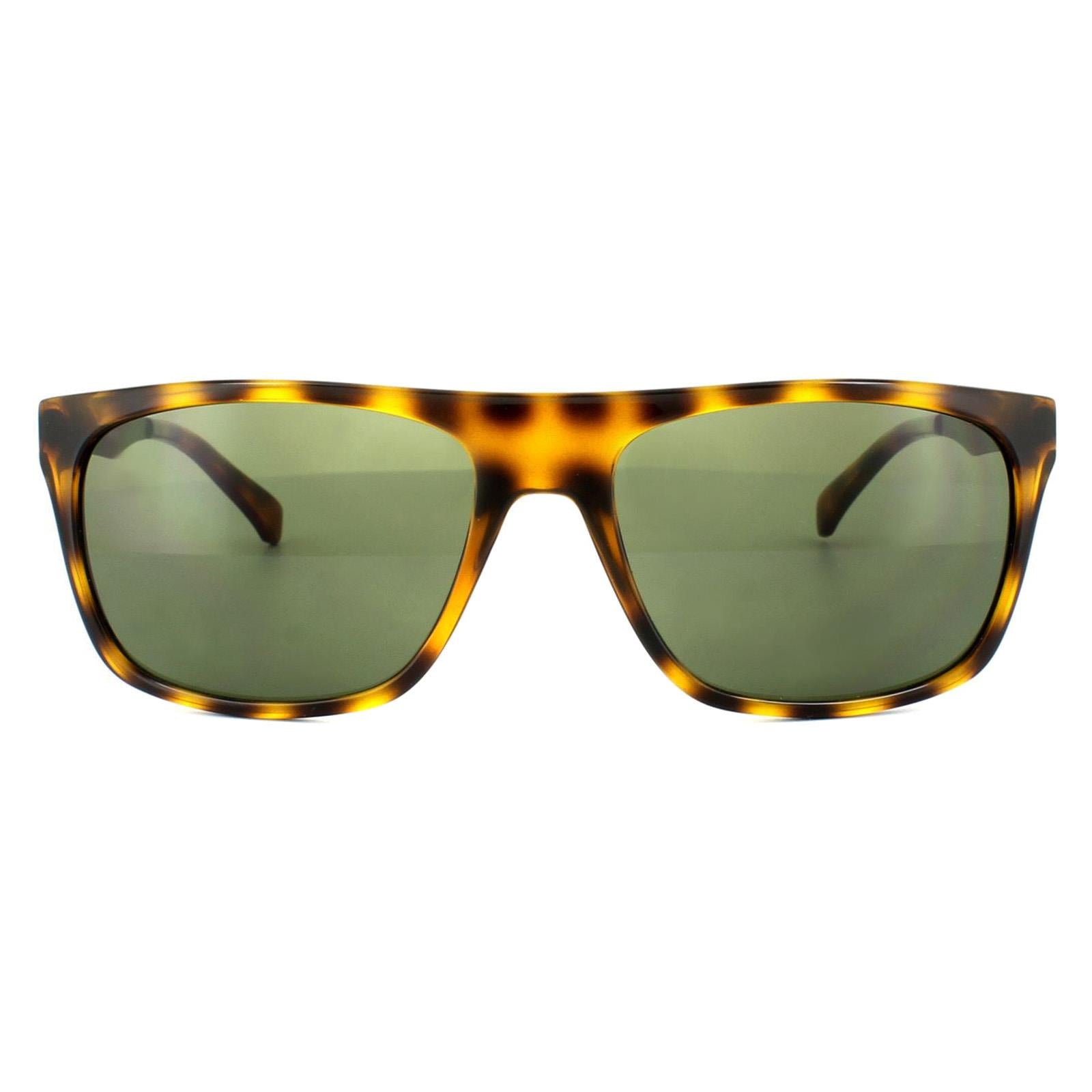 Sunglasses CKJ424S 202 Warm Tortoise