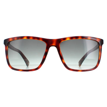 Ted Baker Sunglasses TB1663 Havna 122 Havana Grey Gradient