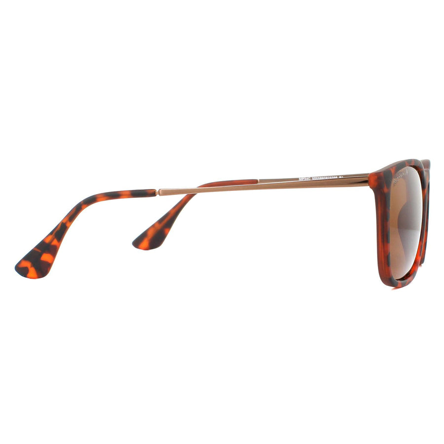 Montana Sunglasses MP34 C Brown Turtle Rubbertouch Brown Polarized