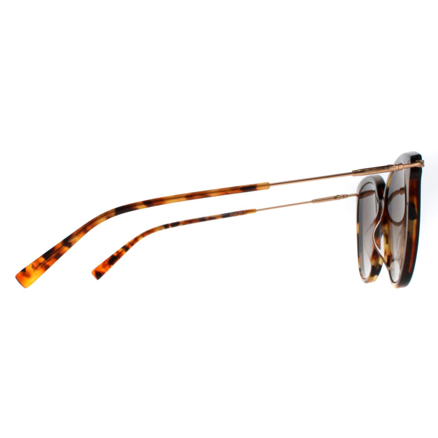 Max Mara Sunglasses Classy WR9 HA Havana Brown Gradient