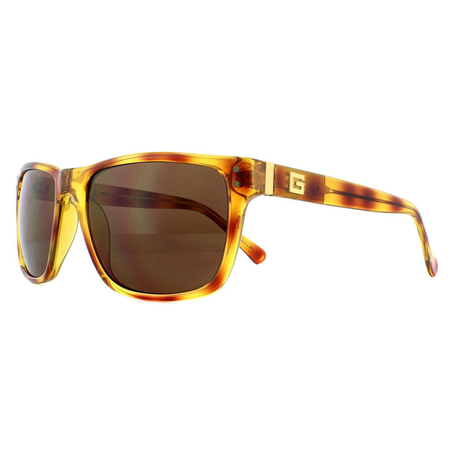 Guess Sunglasses GU6795 K08 Havana Brown Gradient