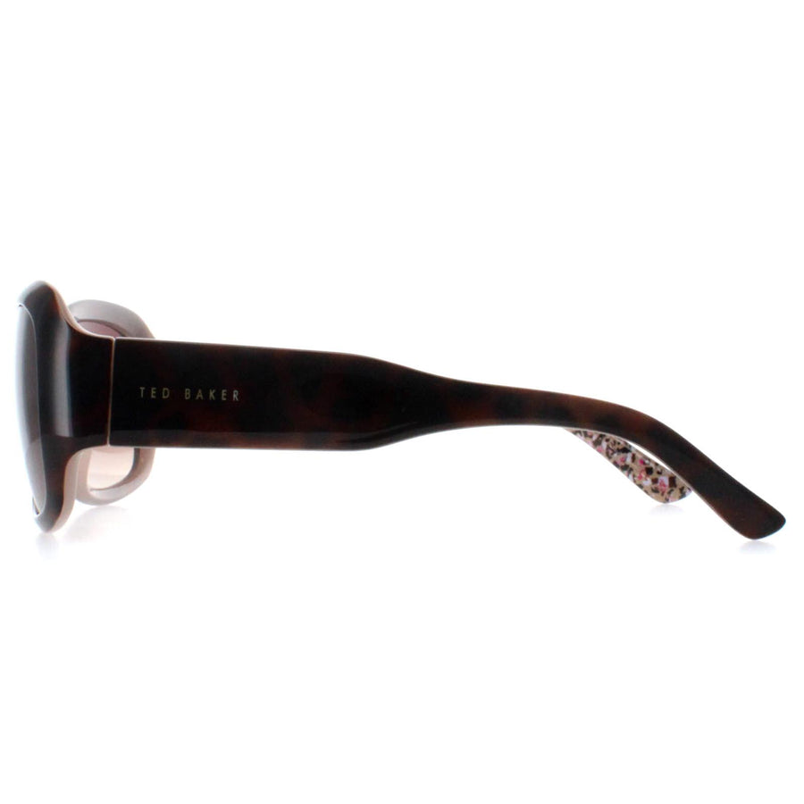 Ted Baker Sunglasses TB1183 Charlotte 149 Brown Brown Gradient