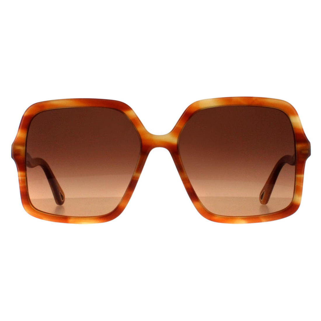 Chloe Sunglasses CH0086S Zelie 002 Havana Brown Gradient