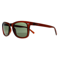 Calvin Klein Sunglasses CK22555S 210 Transparent Brown Green