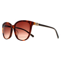 Swarovski Sunglasses SK0146-H 52G Dark Brown Havana Brown Gradient