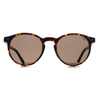 Polo Ralph Lauren Sunglasses PH4236 500373 Shiny Dark Havana Brown