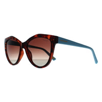 Skechers Sunglasses SE6104 52H Havana Light Blue Brown Gradient Polarized