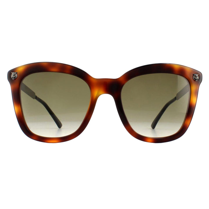 Gucci Sunglasses GG0217S 002 Havana Silver Brown
