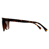 Smarty Sunglasses SB2201 B Tortoise Brown Brown