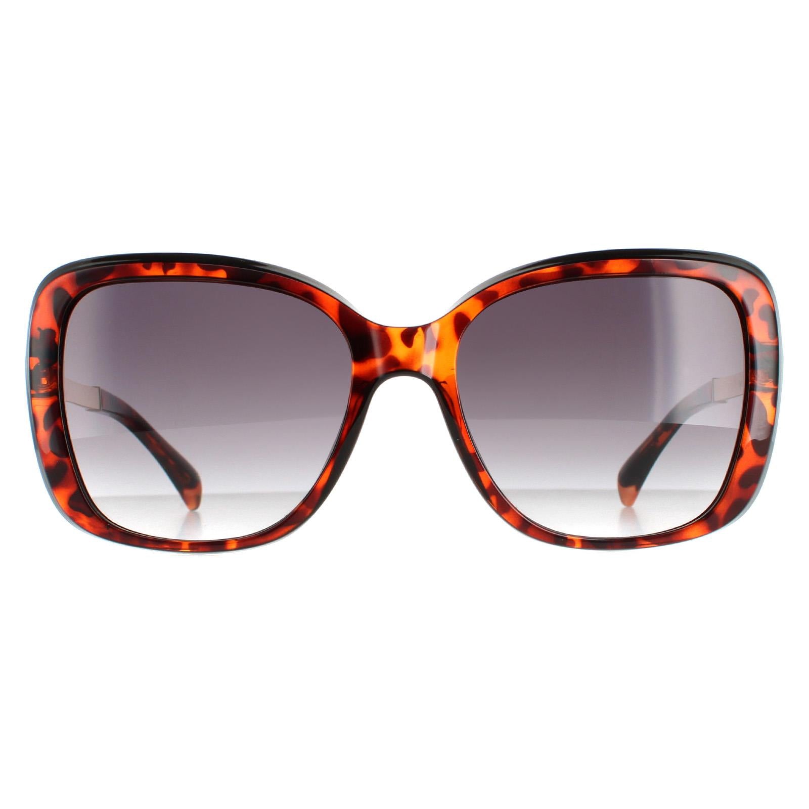 Sunglasses KM5036 100 Grey Gradient