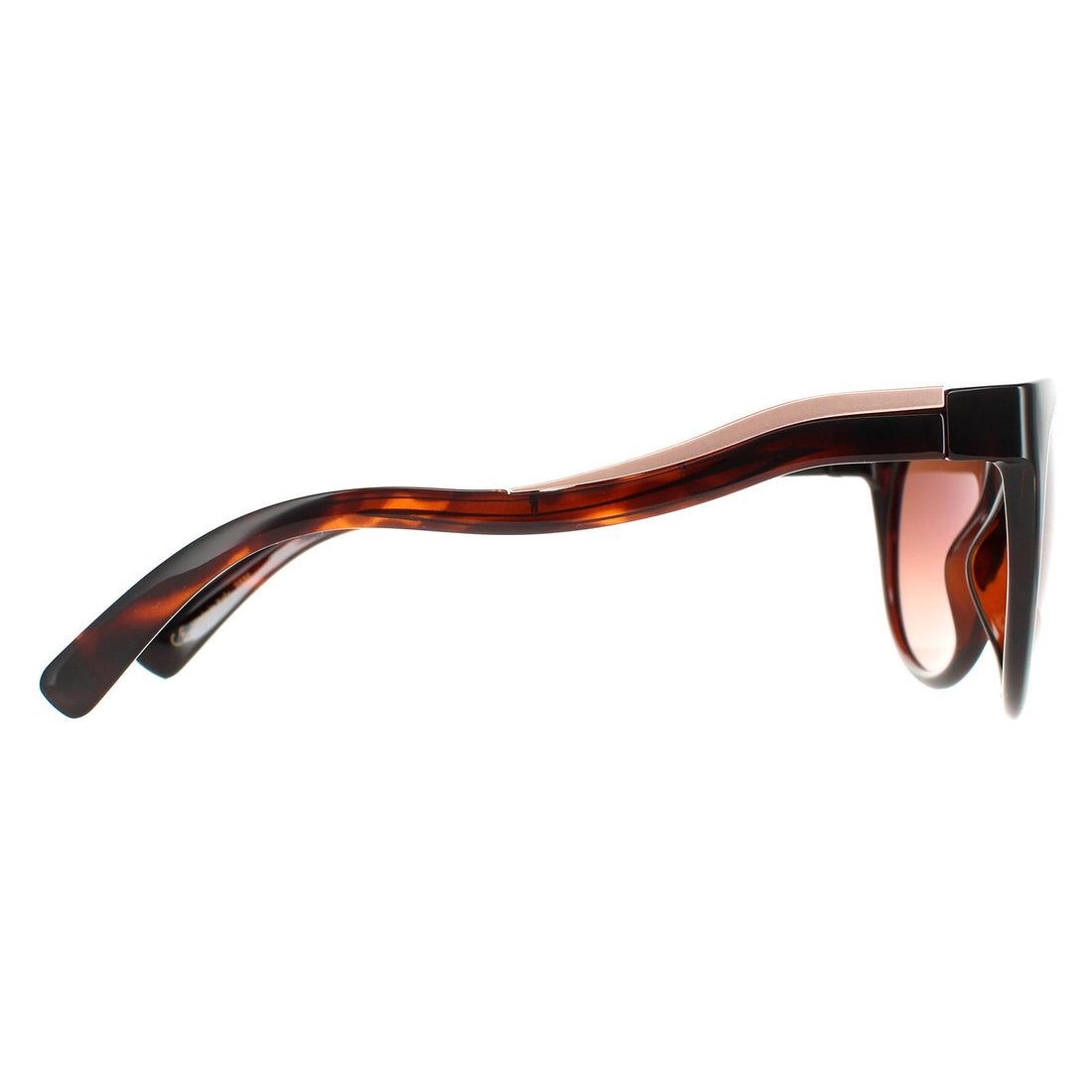 Serengeti Sunglasses Lia 8572 Shiny Dark Tortoise Brown Drivers Gradient Polarized