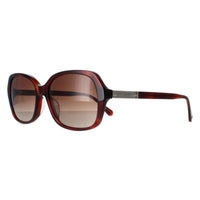 Kate Spade Sunglasses Yvette/S 086 LA Havana Brown Gradient Polarized