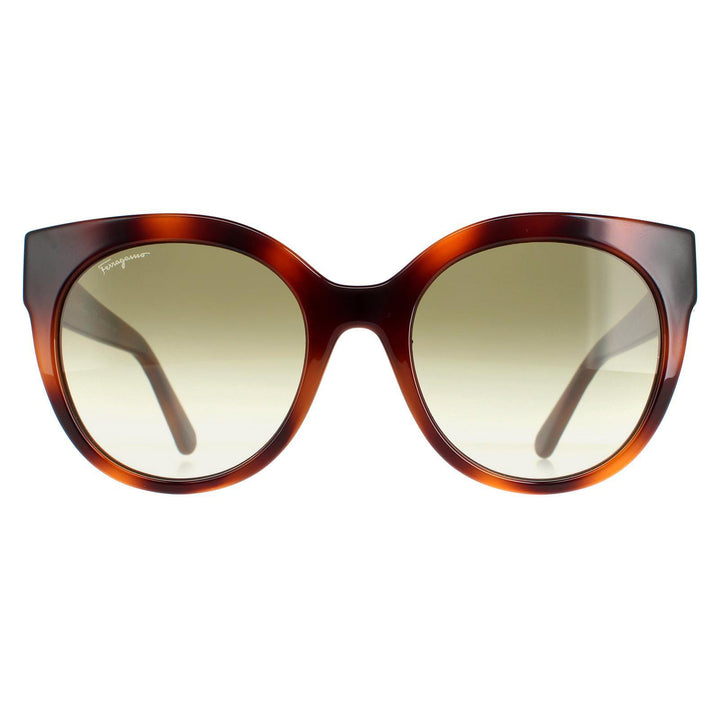 Salvatore Ferragamo SF1031S Sunglasses
