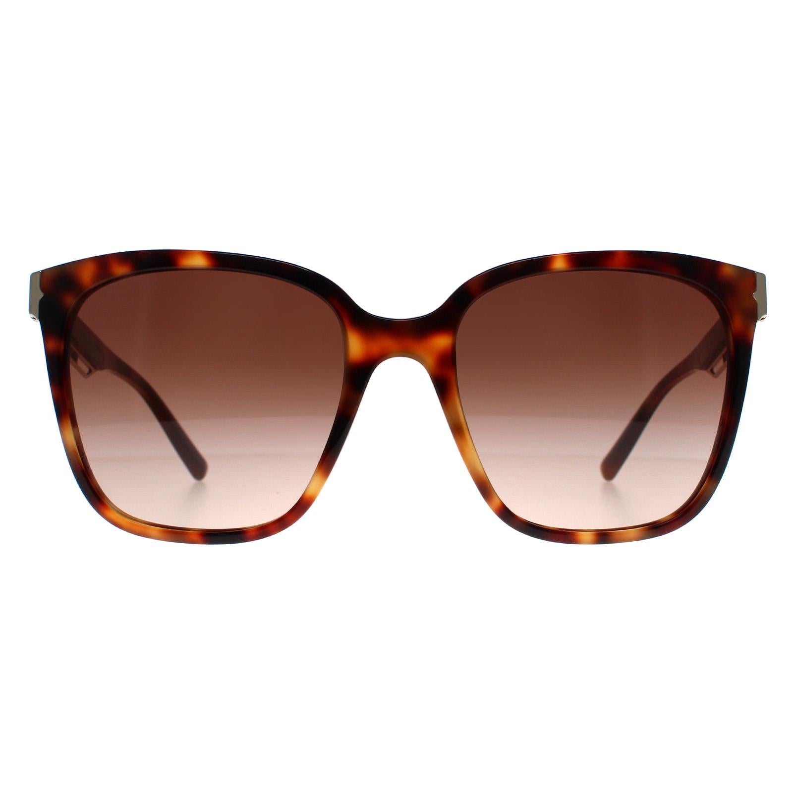 Sunglasses BV8245 Havana Gradient