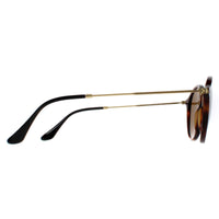 Ray-Ban Sunglasses Round Fleck 2447 1160 Tortoise & Gold Brown