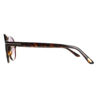 Tom Ford Sunglasses FT0932 Jeffrey 52F Dark Havana Brown Gradient