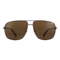 Lacoste Sunglasses L162S 210 Brown Brown Gradient