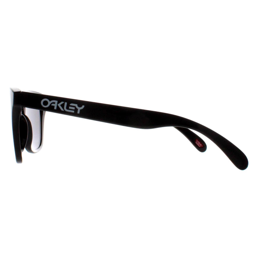 Oakley Frogskins oo9013 Sunglasses