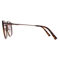 Ted Baker Sunglasses TB1659 Ayala 122 Havana Brown Gradient