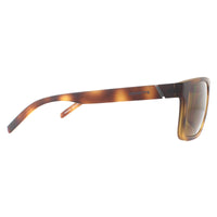 Arnette Sunglasses Goemon AN4267 237583 Matte Havana Dark Brown Polarized