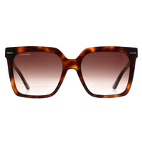 Calvin Klein Sunglasses CK22534S 220 Brown Havana Brown Gradient