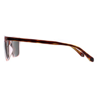 Ted Baker Sunglasses TB1622 Dexter 228 Red Green