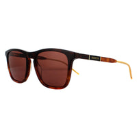 Gucci Sunglasses GG0843S 002 Havana Brown