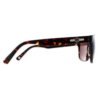 Duck and Cover DCS026 Sunglasses