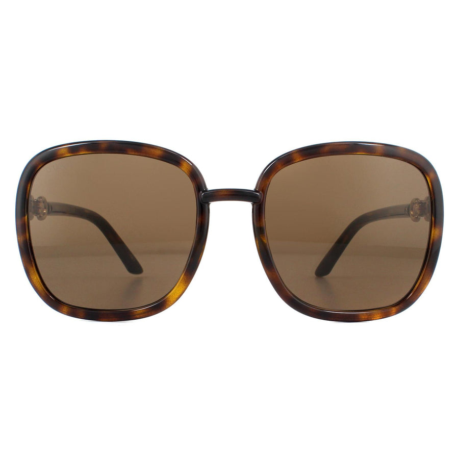 Gucci Sunglasses GG0893S 002 Dark Havana Brown
