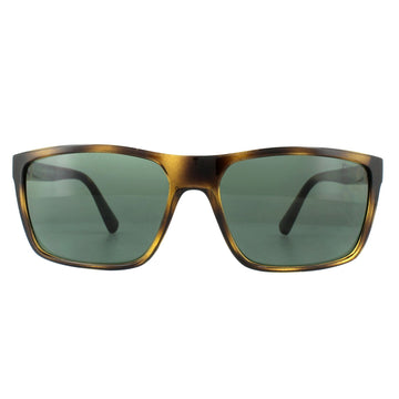 Polo Ralph Lauren PH4133 Sunglasses Havana / Green
