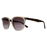 Ted Baker Sunglasses TB1655 Dock 901 Transparent Gray and Havana Brown Gradient
