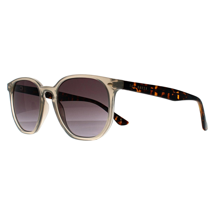 Ted Baker Sunglasses TB1655 Dock 901 Transparent Gray and Havana Brown Gradient